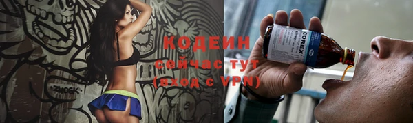 тгк Ельня