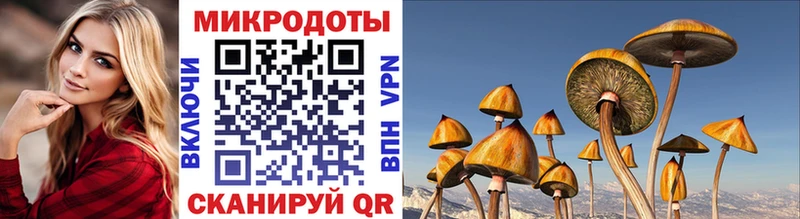 Псилоцибиновые грибы Psilocybine cubensis  как найти закладки  Саки 