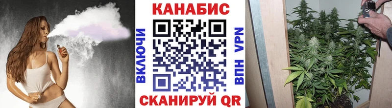 Конопля ГИДРОПОН  продажа наркотиков  Саки 